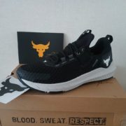 photo_2026-04-15_19-33-12 (2)